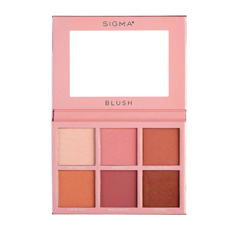 sigma sigma beauty blush cheek palette