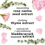 faces facial spray with aloe  herbs and rosewater