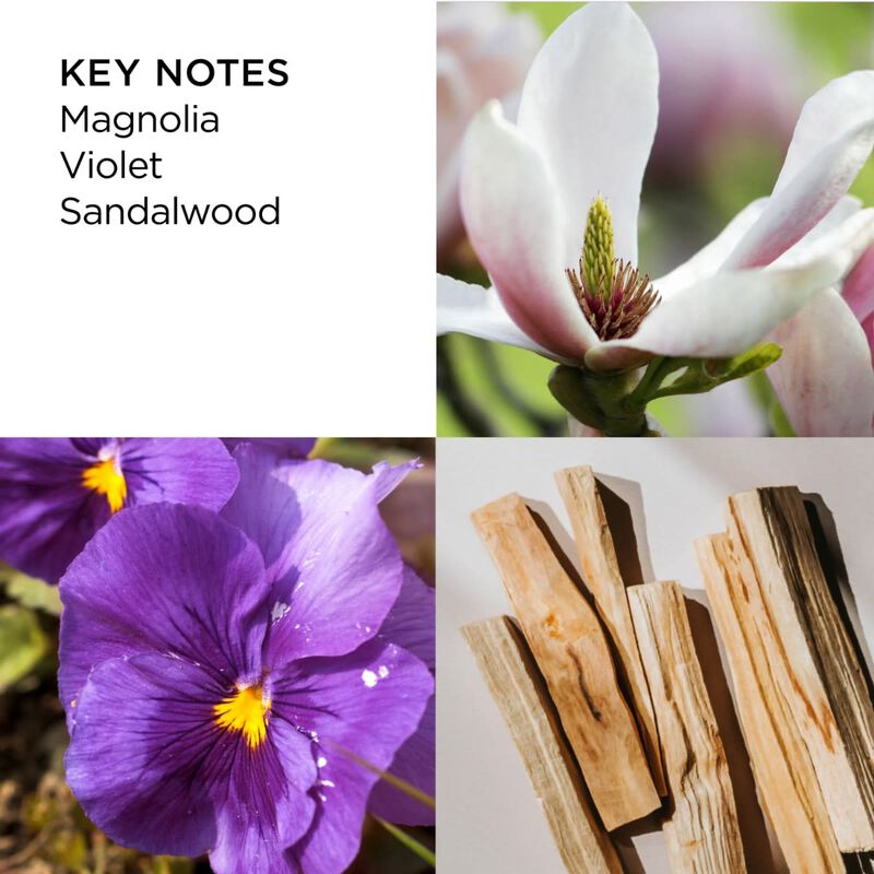 إليزابيث آردن فيفث أفينيو