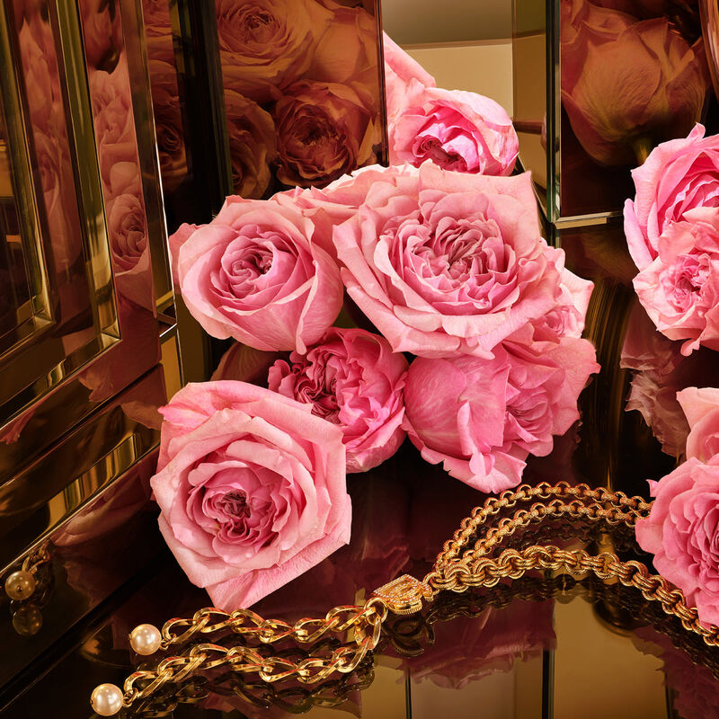 دولتشي أند غابانا ذا ون جولد