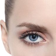 faces ombre premiere