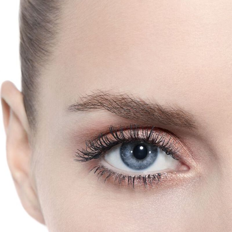 chanel ombre premiere