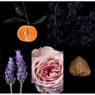 faces عطر 212 في أي بي روز سمايلي أو دو برفان 80مل