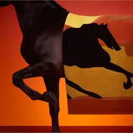 Stallion Leather Sirocco faces stallion leather sirocco