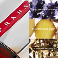 لونا روسا سبورت أو دو تواليت faces لونا روسا سبورت أو دو تواليت