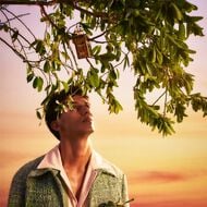 faces bronze wood   leather cologne intense