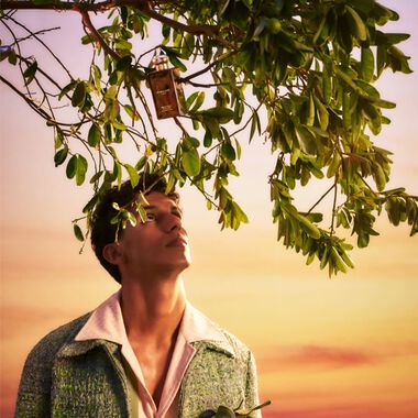 faces كولونيا برونز وود آند ليذر المكثفة