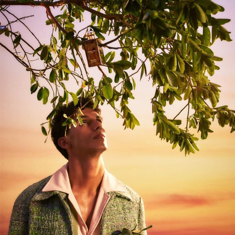 jo malone london bronze wood & leather cologne intense