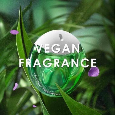 faces a drop dissey essentielle