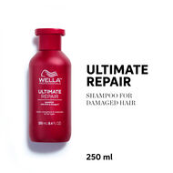 faces ultimate repair shampoo