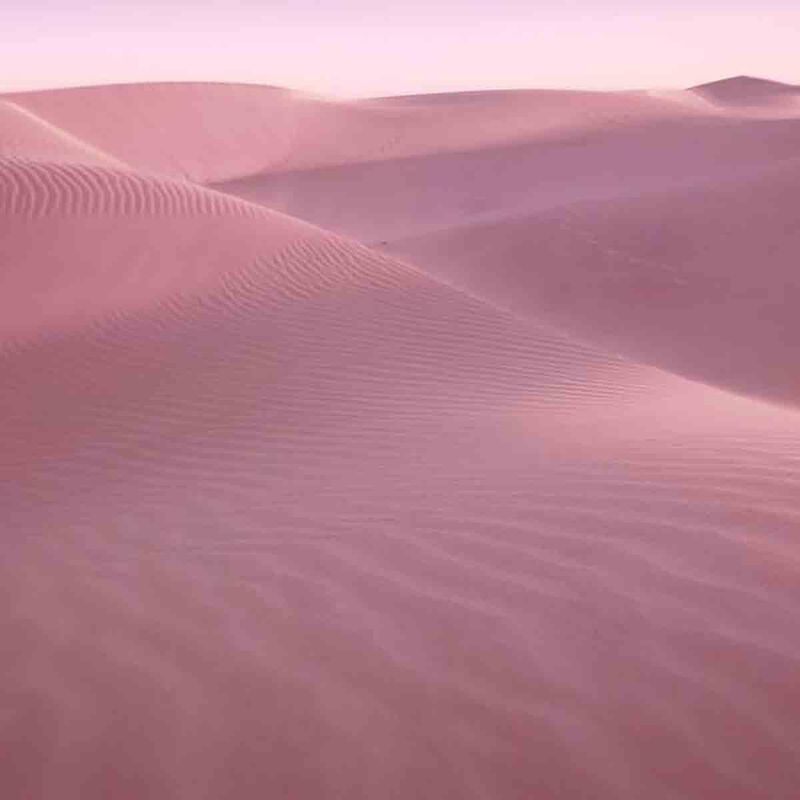 estee lauder desert eden eau de parfum