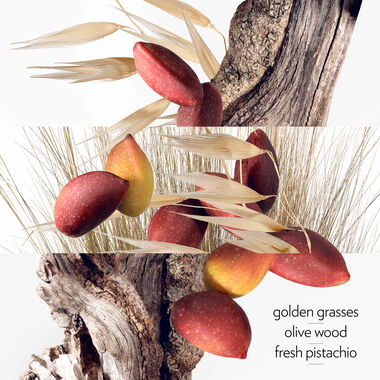 faces جاردن سيتير