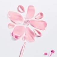 Miss Dior Rose N'Roses Hair Mist 30ml faces miss dior rose n roses hair mist 30ml