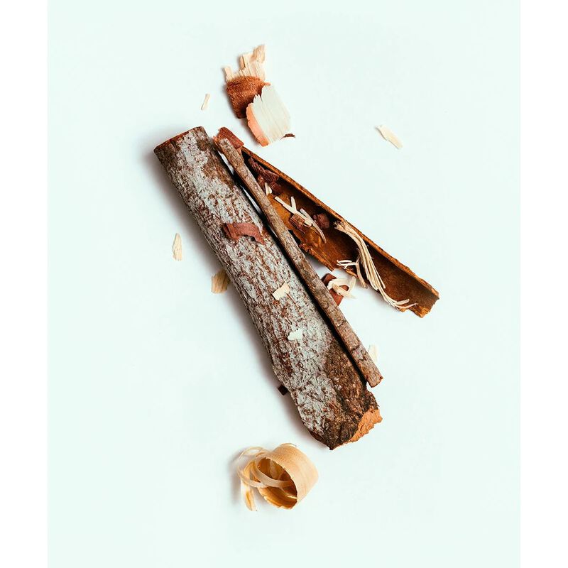 كوربس ناتشرلز سانتالوم جل الاستحمام النباتي