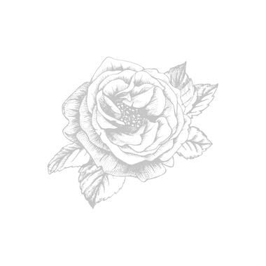 faces moonlight rose