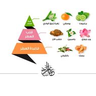 عطر عبارات سامية faces عطر عبارات سامية