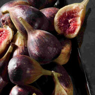 faces كي باي دولتشي اند جابانا انتينس