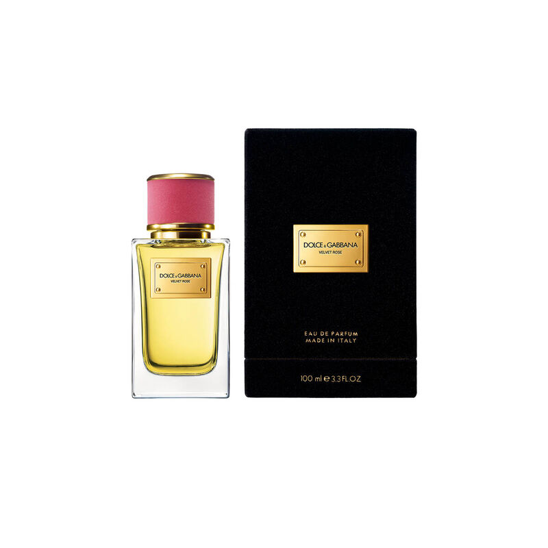 dolce & gabbana velvet rose