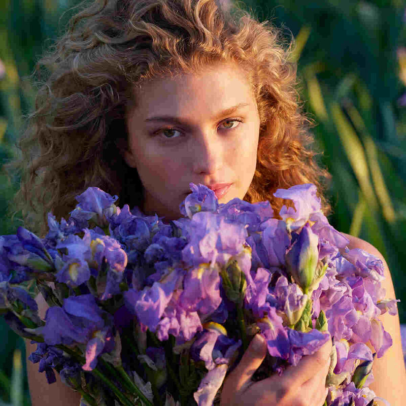 guerlain aqua allegoria forte oud yuzu