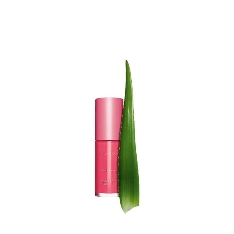 clarins water lip stain
