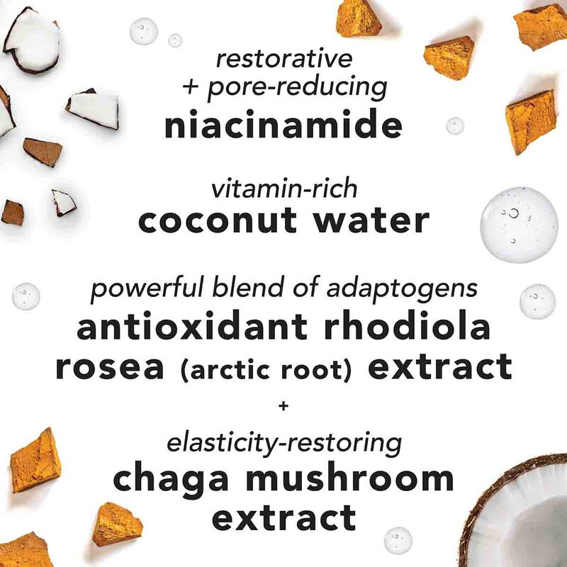 mario badescu facial spray with aloe, adaptogens and coconut