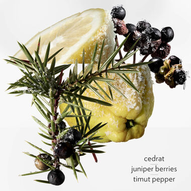 faces terre d herm s eau givr e eau de parfum