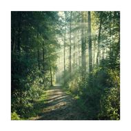 Regenerating Care Mask soothes and supports irritated skin during regeneration faces regenerating care mask soothes and supports irritated skin during regeneration