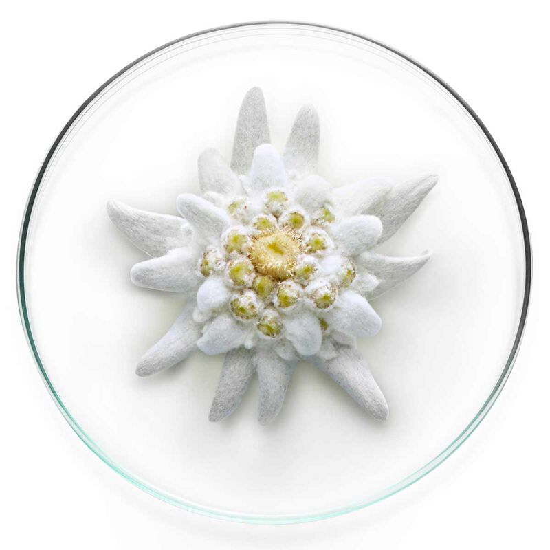 lancome expert milky bright