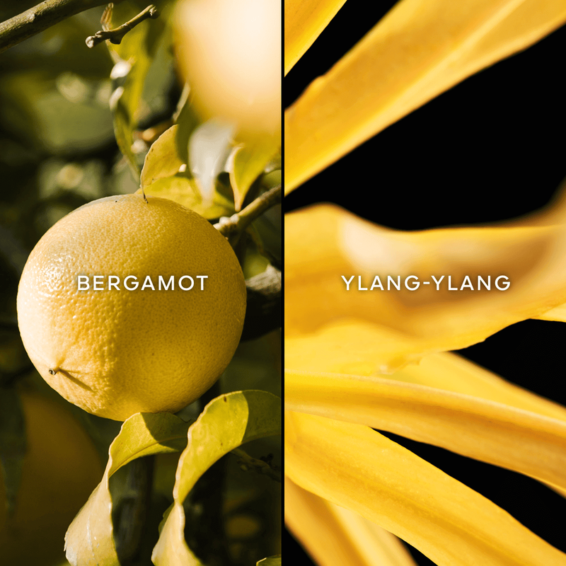 جيرلان ليه ليجاندير تيراكوتا