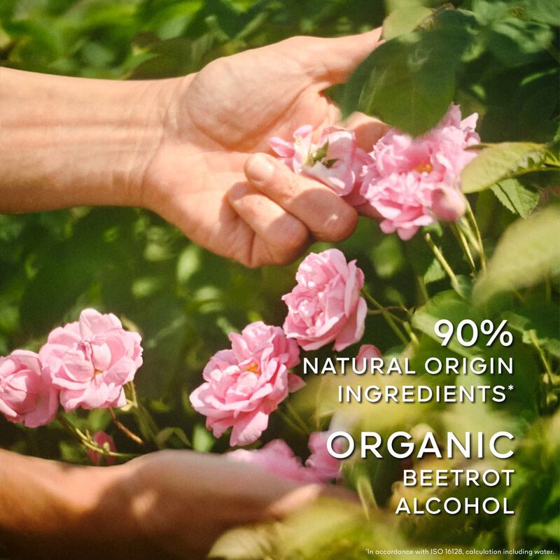 guerlain la petite robe noire