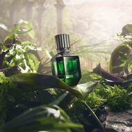 faces paradise found for him