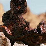 faces عطر كيه إلكسير