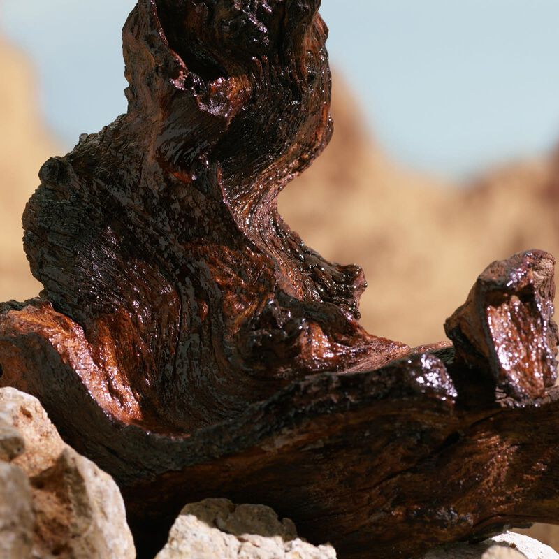 دولتشي أند غابانا عطر كيه إلكسير