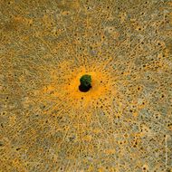 faces mandarine basilic eau de toilette 125ml