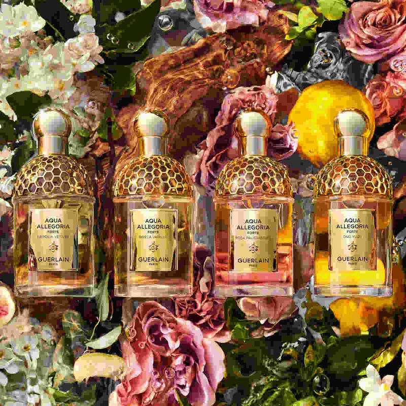 guerlain aqua allegoria forte oud yuzu
