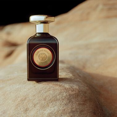 faces دارينج روز