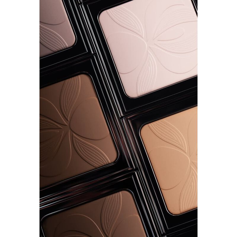 sisley blur expert