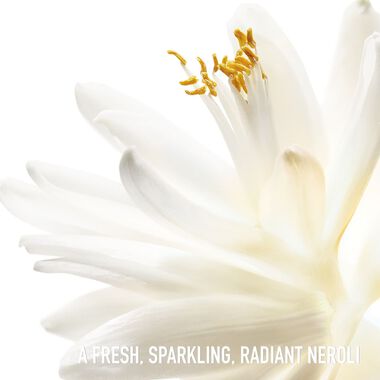 faces عطر جادور رولر بيرل 20 مل