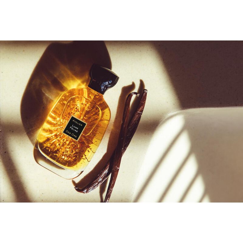 أتيلير دي أورس لون فيلين