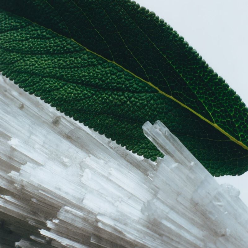 jo malone london wood sage and sea salt cologne