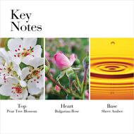 faces white tea wild rose