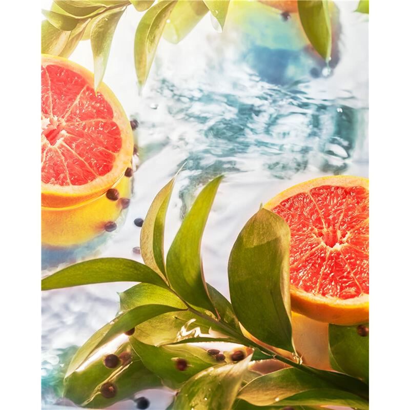 روجا إليسيوم إنتنس