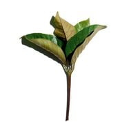 Super Restorative Day Cream SPF 20 All Skin Types 50ml faces super restorative day cream spf 20 all skin types 50ml