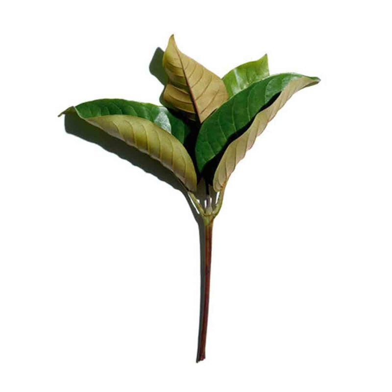 clarins super restorative day cream spf 20 all skin types 50ml