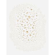 Fulvic Ionic Mineral Face and Scalp Toner faces fulvic ionic mineral face and scalp toner