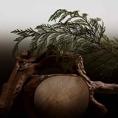 faces هيرو بارفان