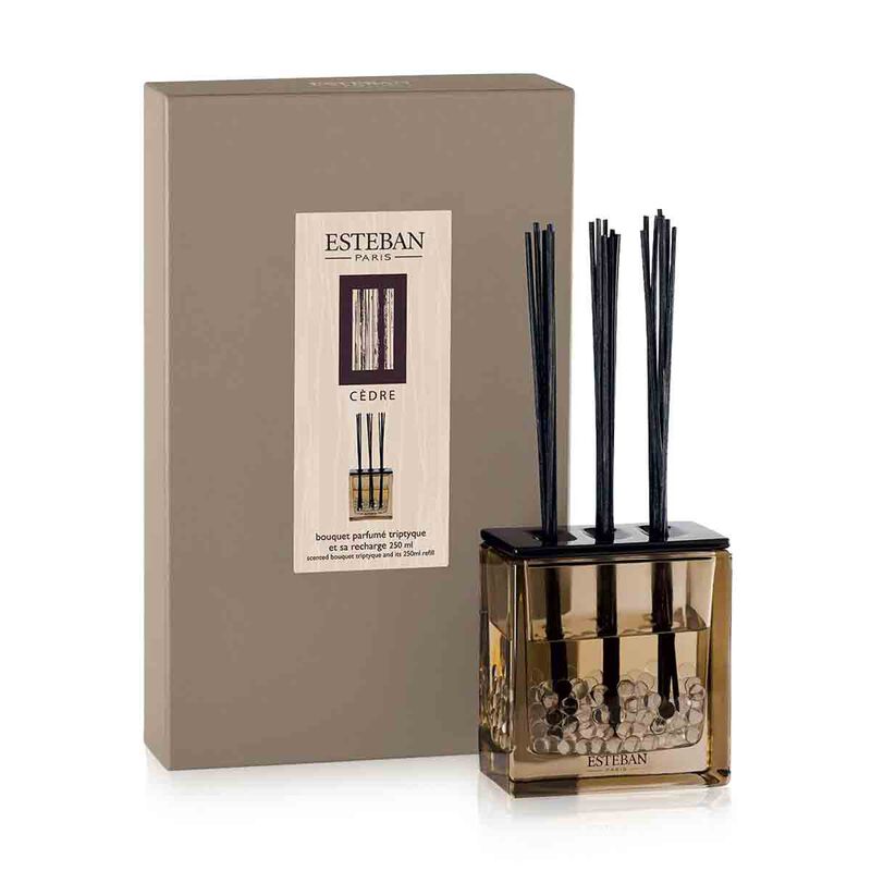 استيبان باريس باقة معطرة برائحة الأرز ثلاثية يمكن إعادة تعبئتها  إصدار موكا 250مل