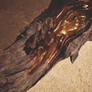 Devotion faces devotion