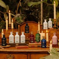 faces the alchemist s garden a gloaming night eau de parfum