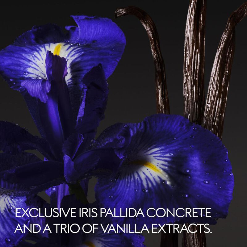 gucci alchemist's garden vanilla firenze